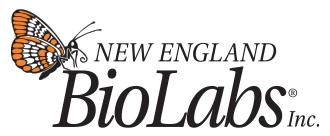 New England Biolabs